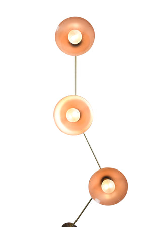 Multi Focal (Natural Brass, Mannequin)