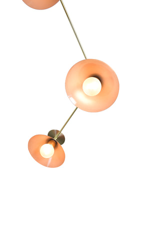 Multi Focal (Natural Brass, Mannequin)