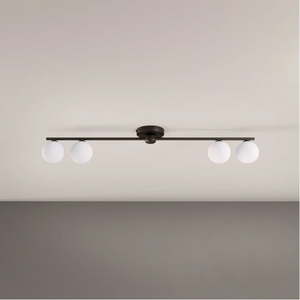 Segment 2x4 Flushmount